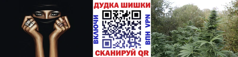 Наркота Александровск Cocaine Мефедрон Гашиш Конопля