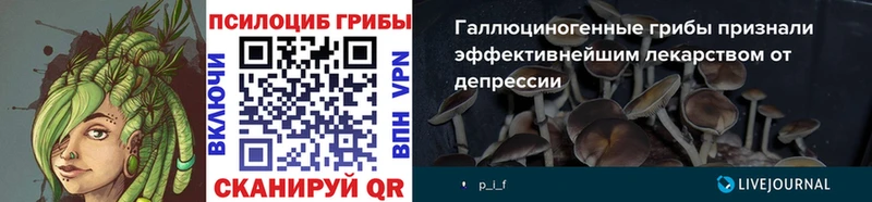 Псилоцибиновые грибы ЛСД  Александровск 